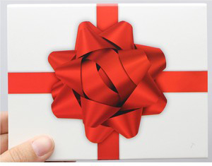 SilverTowne Gift Box with Red Bow Box Sleeve